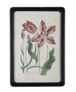 Quadro Tulipani Blanc Mariclo Collection