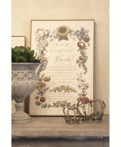 Quadro Botanical Blanc Mariclo h 60 cm