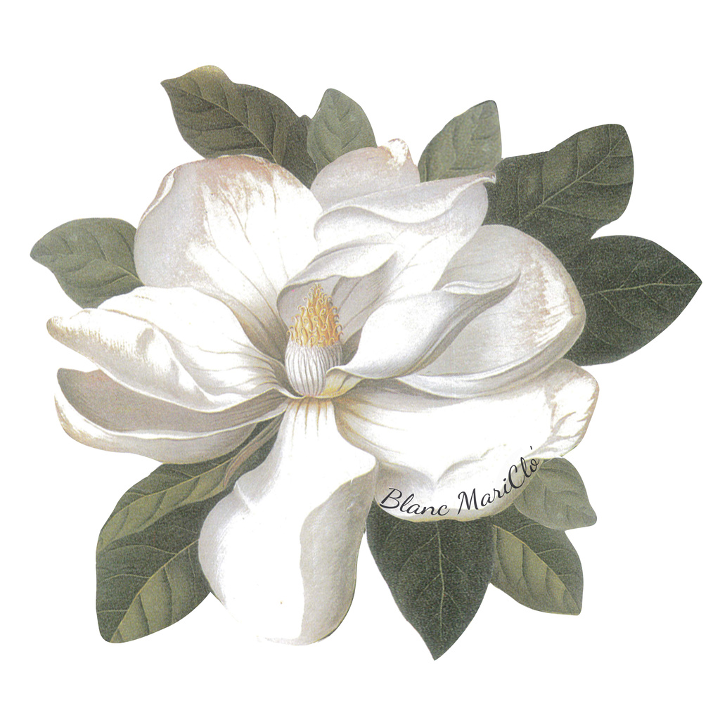 Tovaglietta fiore vinile Blanc Mariclo Secret Garden Collection 44x49 cm